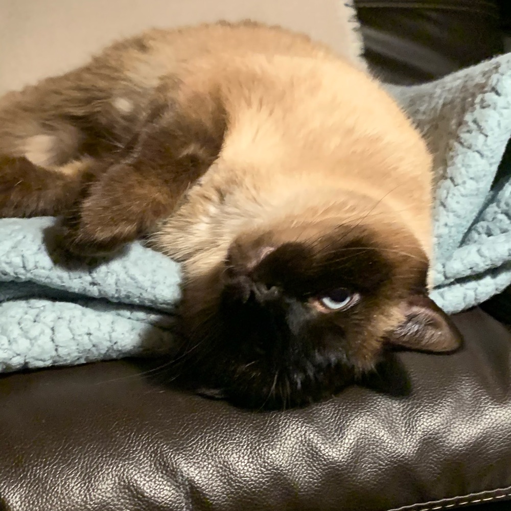 Meet your Posher, Teresa